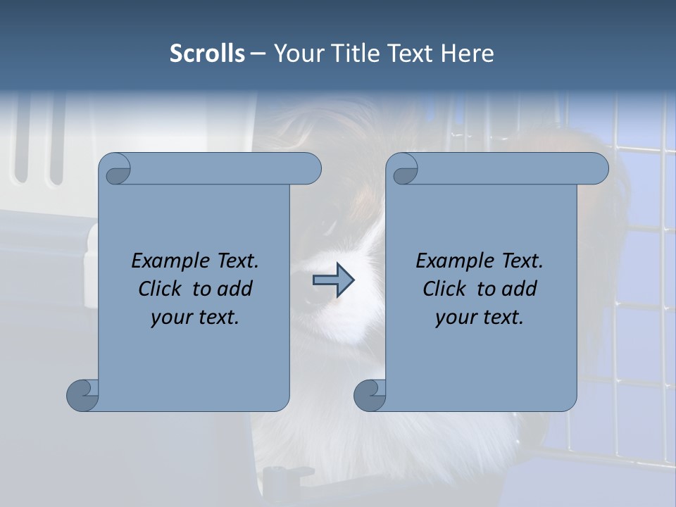 Young Dog Papillon And A Plastic Carrier PowerPoint Template