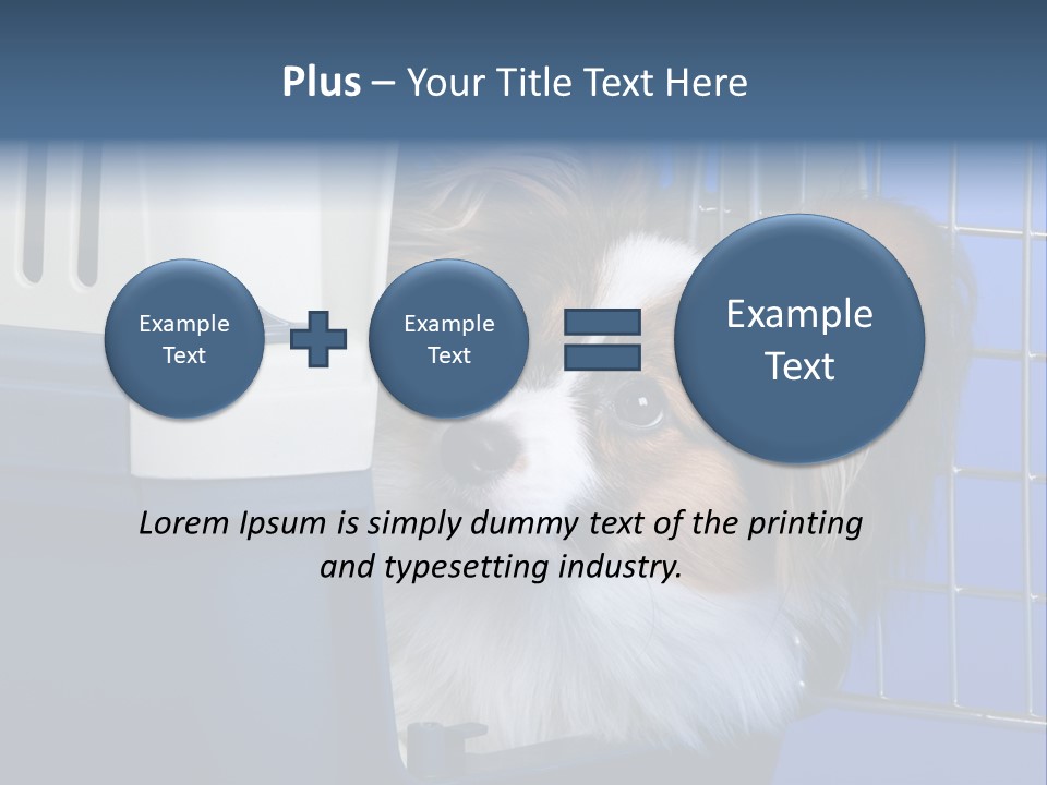 Young Dog Papillon And A Plastic Carrier PowerPoint Template