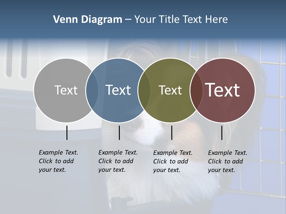 Young Dog Papillon And A Plastic Carrier PowerPoint Template