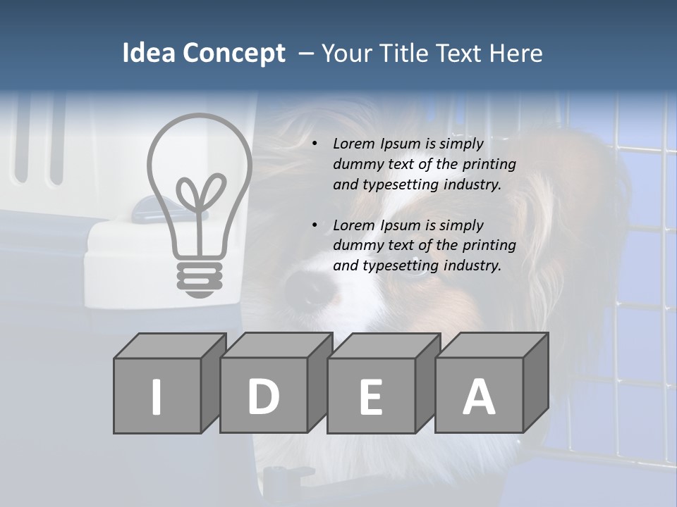 Young Dog Papillon And A Plastic Carrier PowerPoint Template