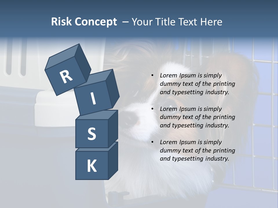 Young Dog Papillon And A Plastic Carrier PowerPoint Template