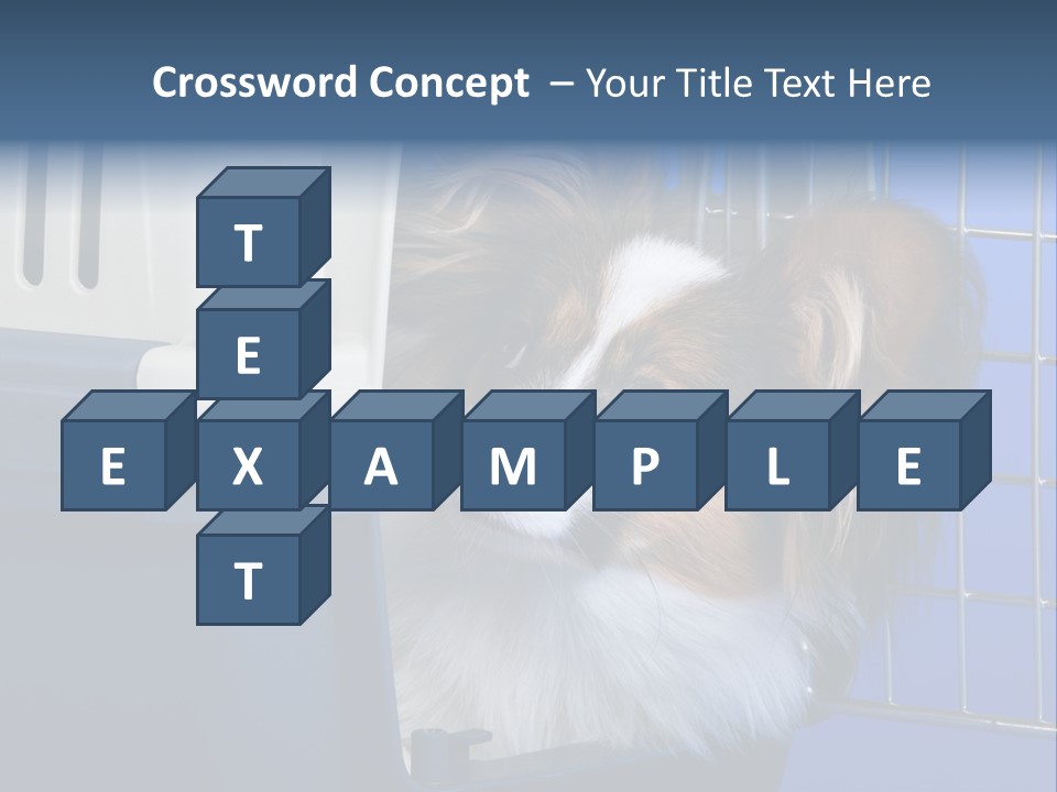 Young Dog Papillon And A Plastic Carrier PowerPoint Template