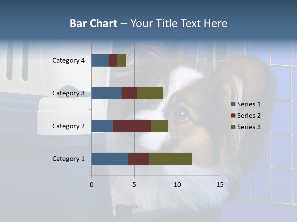 Young Dog Papillon And A Plastic Carrier PowerPoint Template