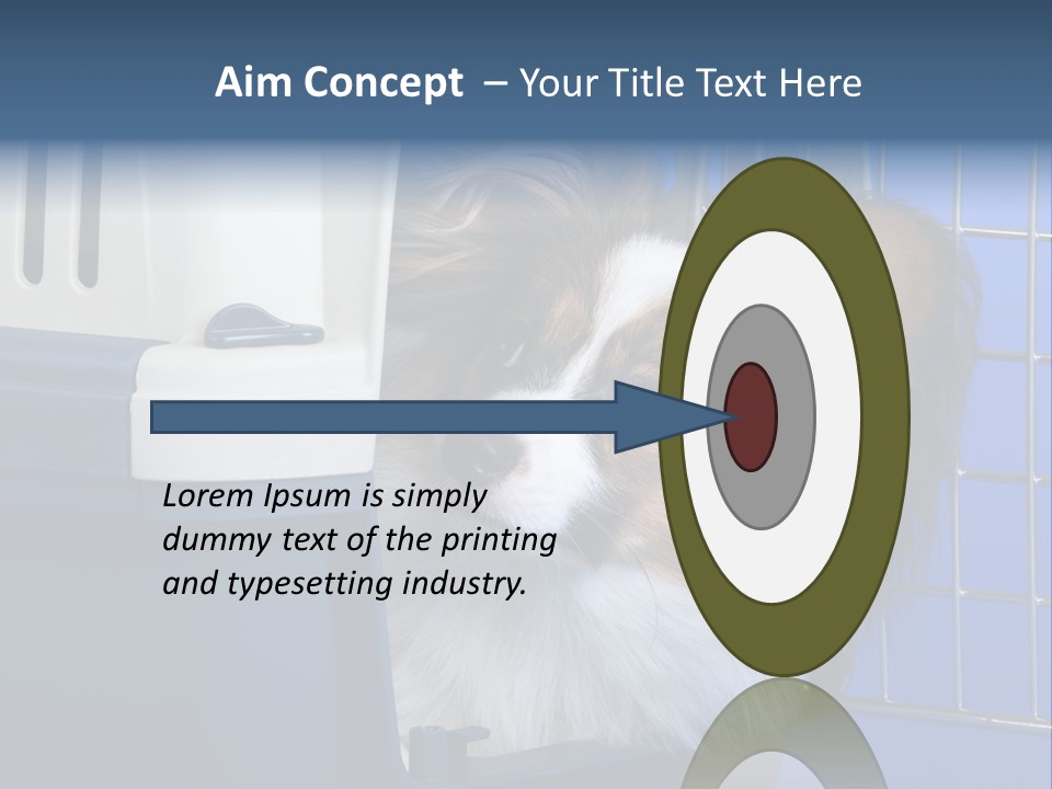 Young Dog Papillon And A Plastic Carrier PowerPoint Template