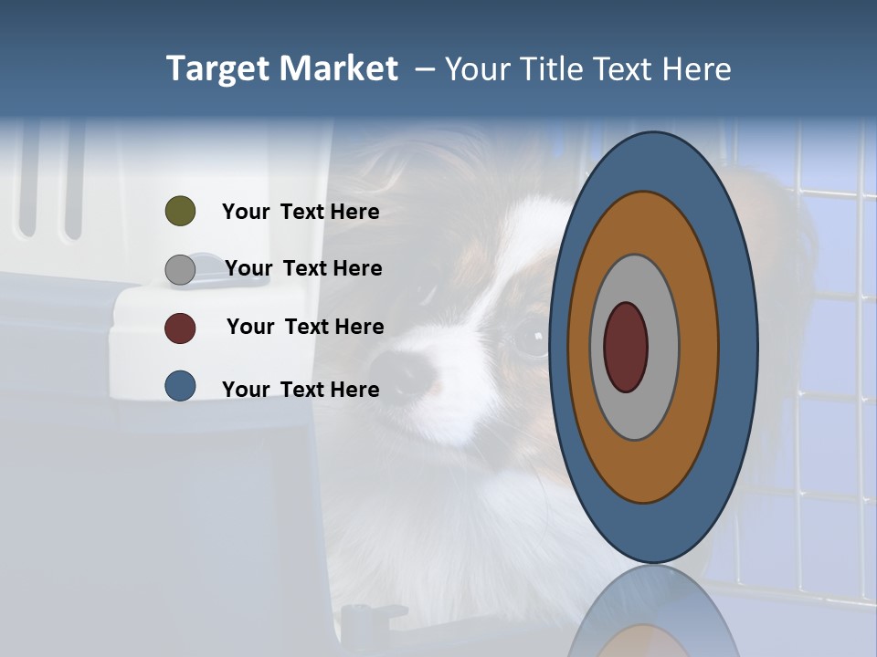 Young Dog Papillon And A Plastic Carrier PowerPoint Template