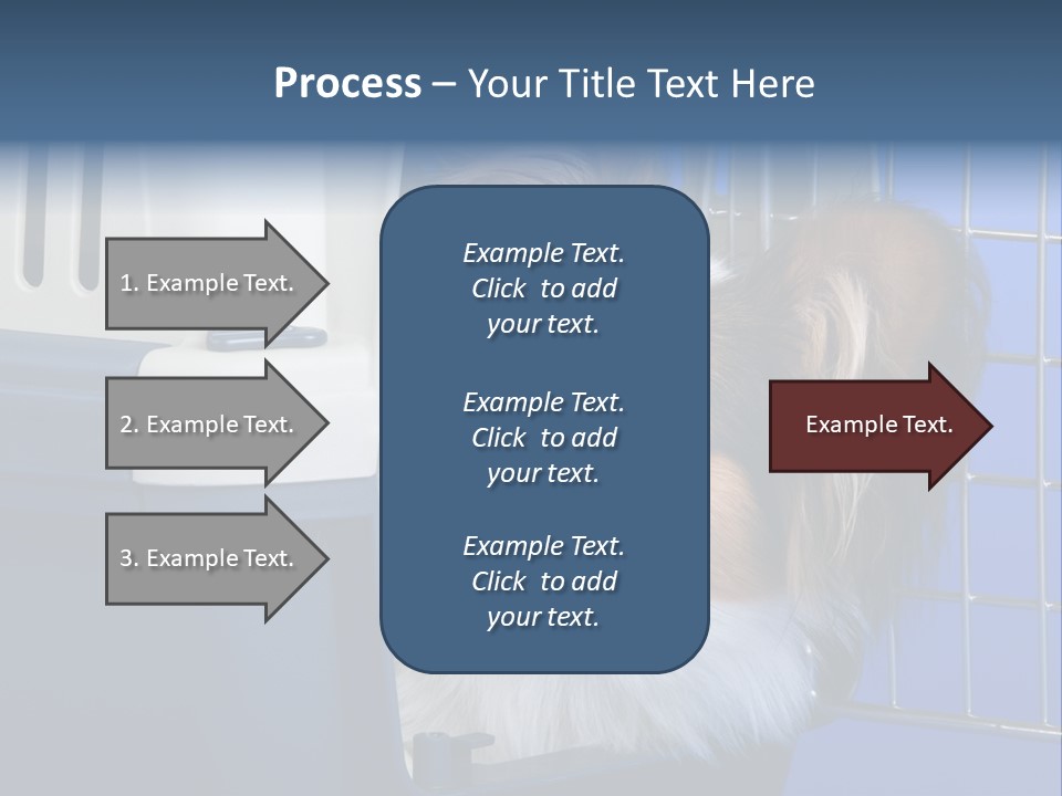 Young Dog Papillon And A Plastic Carrier PowerPoint Template