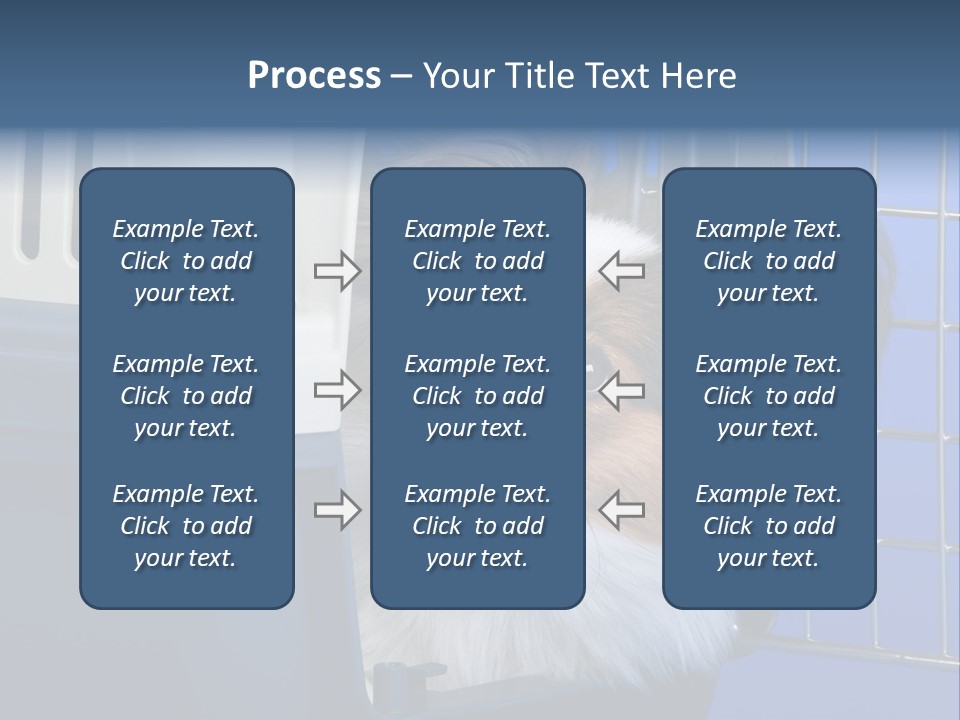 Young Dog Papillon And A Plastic Carrier PowerPoint Template