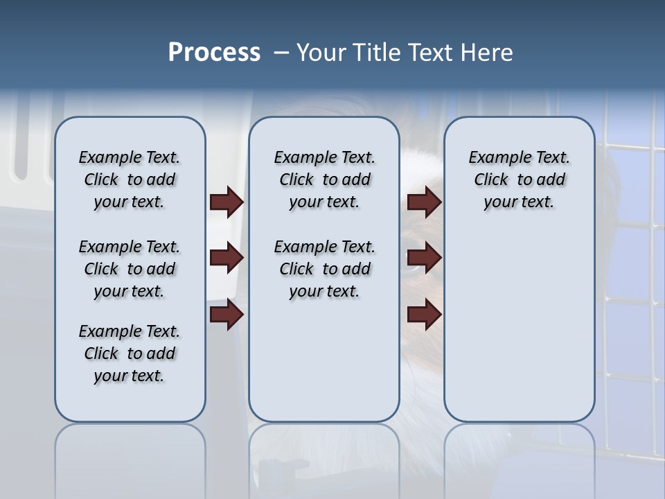 Young Dog Papillon And A Plastic Carrier PowerPoint Template