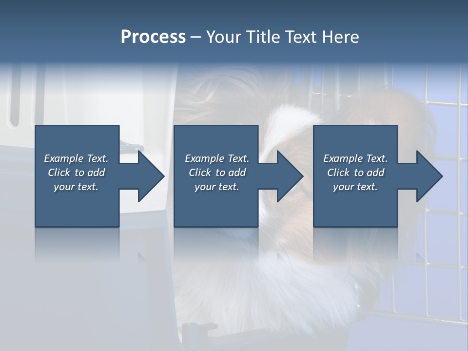 Young Dog Papillon And A Plastic Carrier PowerPoint Template