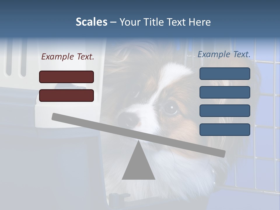 Young Dog Papillon And A Plastic Carrier PowerPoint Template