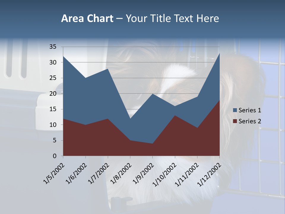 Young Dog Papillon And A Plastic Carrier PowerPoint Template
