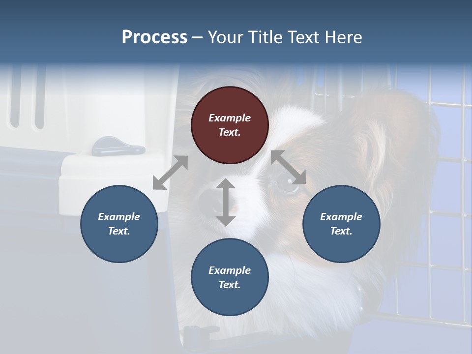 Young Dog Papillon And A Plastic Carrier PowerPoint Template