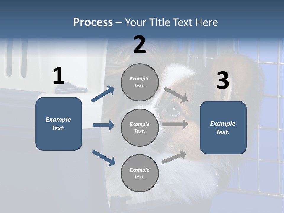 Young Dog Papillon And A Plastic Carrier PowerPoint Template
