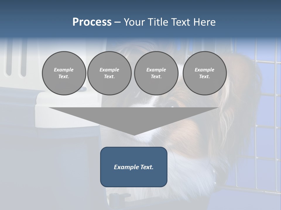 Young Dog Papillon And A Plastic Carrier PowerPoint Template