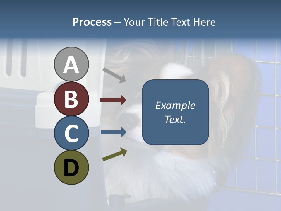 Young Dog Papillon And A Plastic Carrier PowerPoint Template