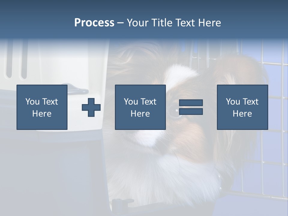 Young Dog Papillon And A Plastic Carrier PowerPoint Template