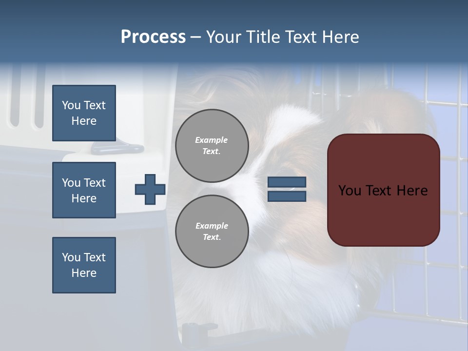 Young Dog Papillon And A Plastic Carrier PowerPoint Template
