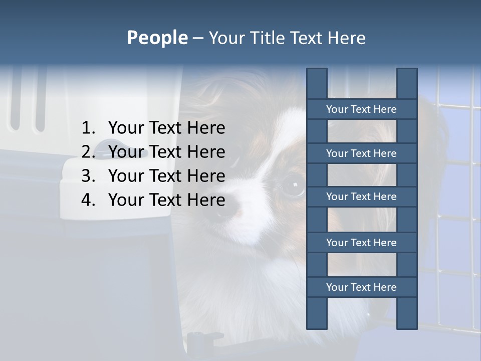 Young Dog Papillon And A Plastic Carrier PowerPoint Template