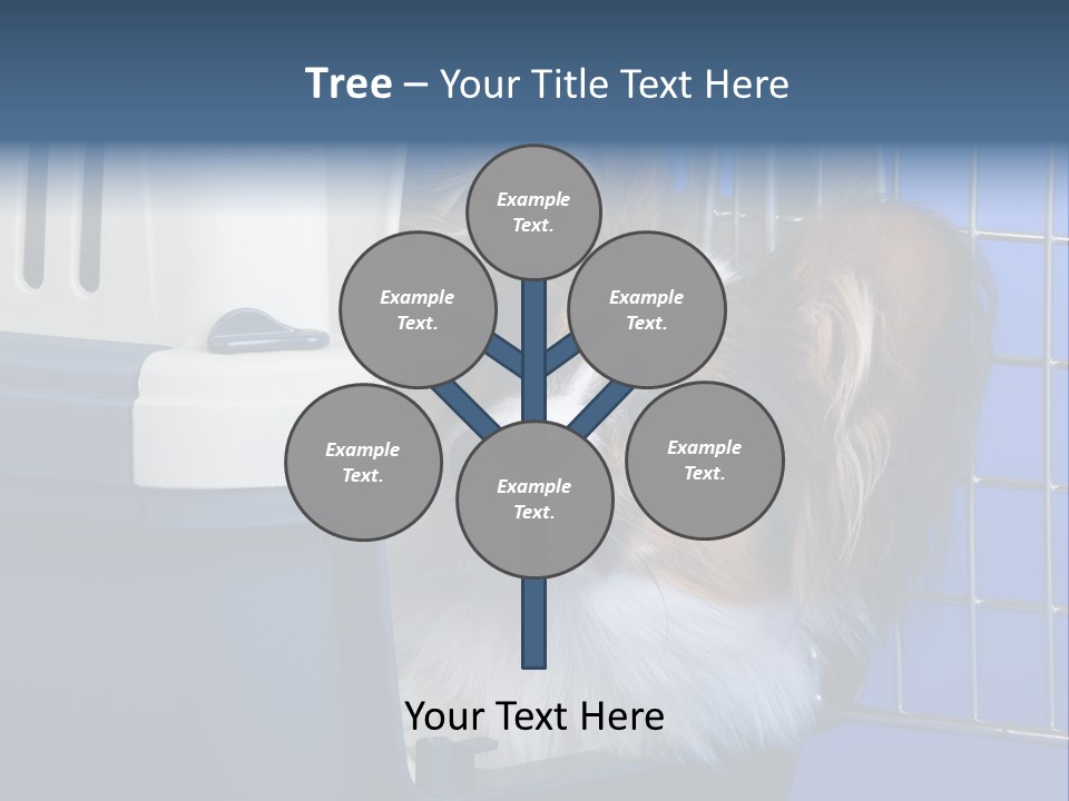 Young Dog Papillon And A Plastic Carrier PowerPoint Template