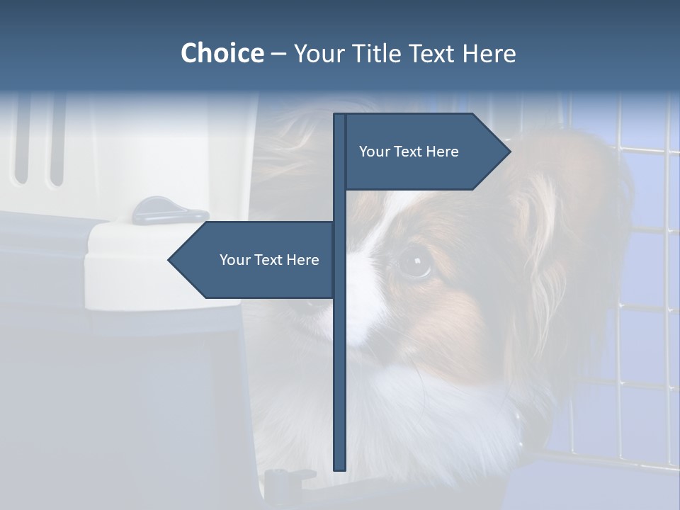 Young Dog Papillon And A Plastic Carrier PowerPoint Template