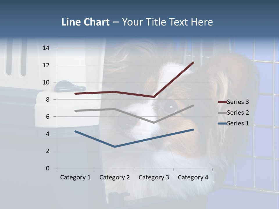 Young Dog Papillon And A Plastic Carrier PowerPoint Template