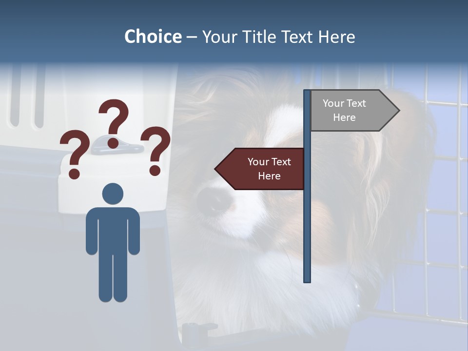 Young Dog Papillon And A Plastic Carrier PowerPoint Template