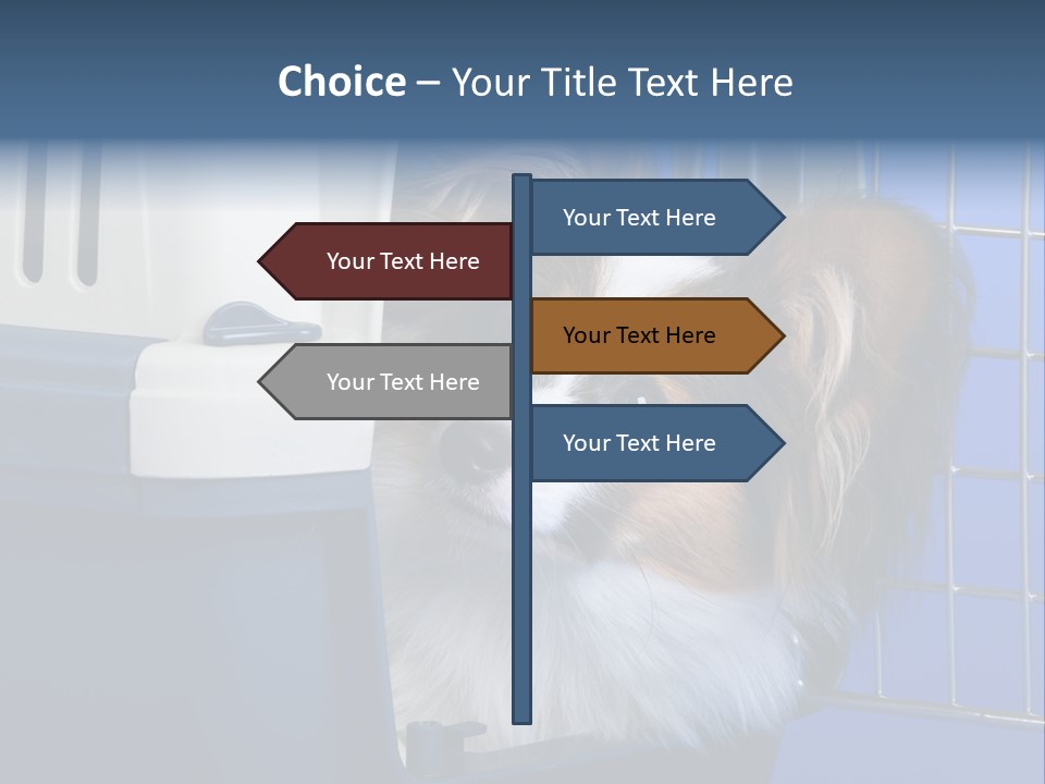 Young Dog Papillon And A Plastic Carrier PowerPoint Template