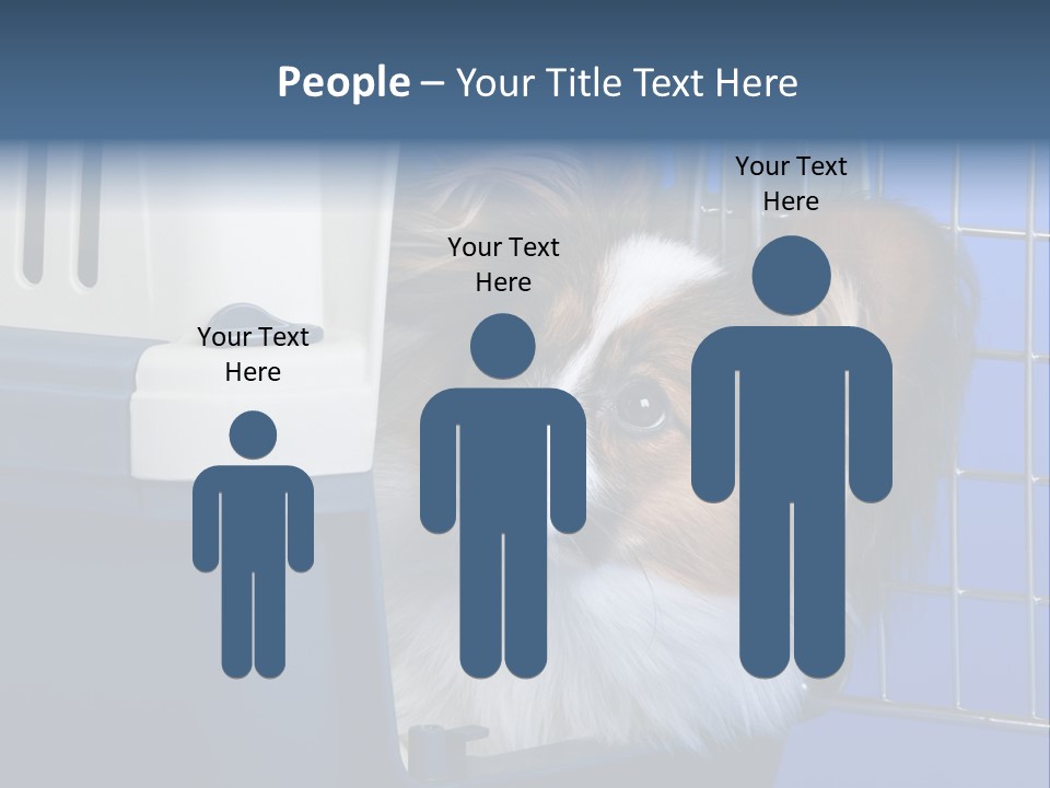 Young Dog Papillon And A Plastic Carrier PowerPoint Template