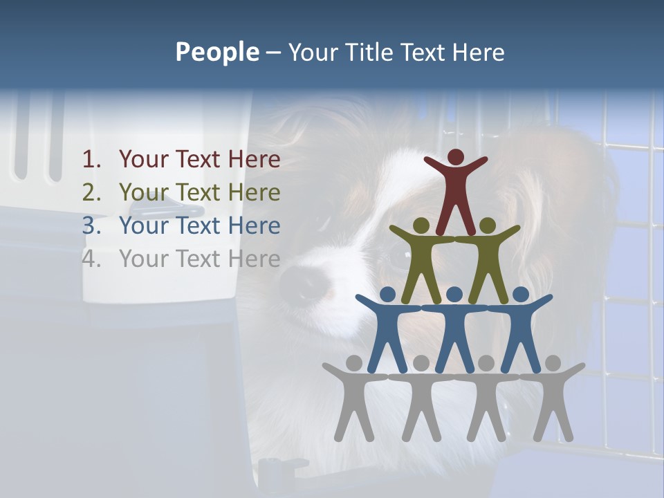 Young Dog Papillon And A Plastic Carrier PowerPoint Template