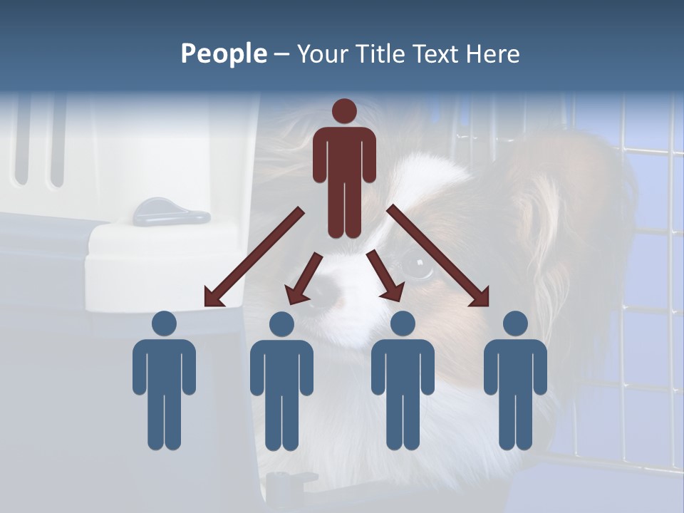 Young Dog Papillon And A Plastic Carrier PowerPoint Template