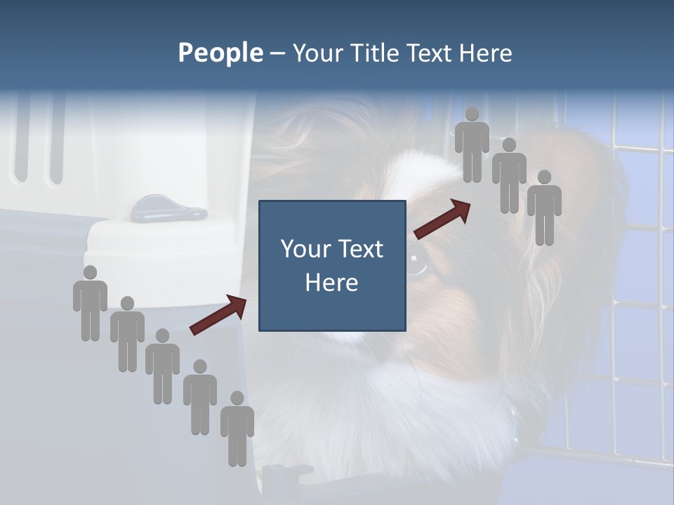 Young Dog Papillon And A Plastic Carrier PowerPoint Template