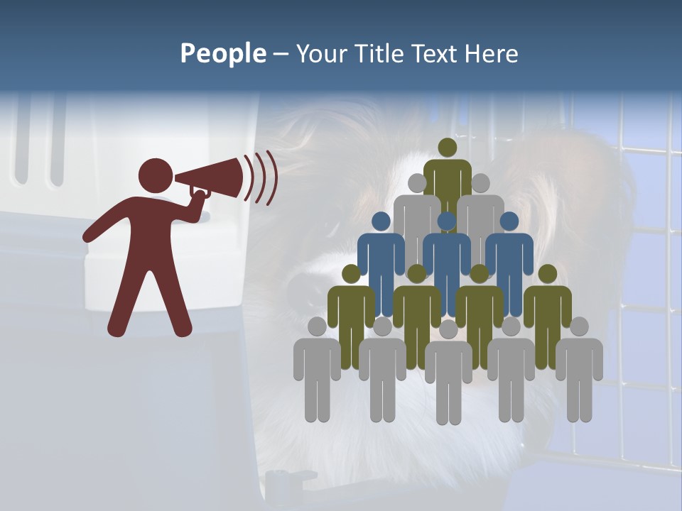 Young Dog Papillon And A Plastic Carrier PowerPoint Template