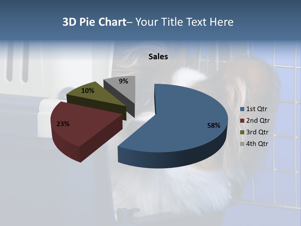 Young Dog Papillon And A Plastic Carrier PowerPoint Template