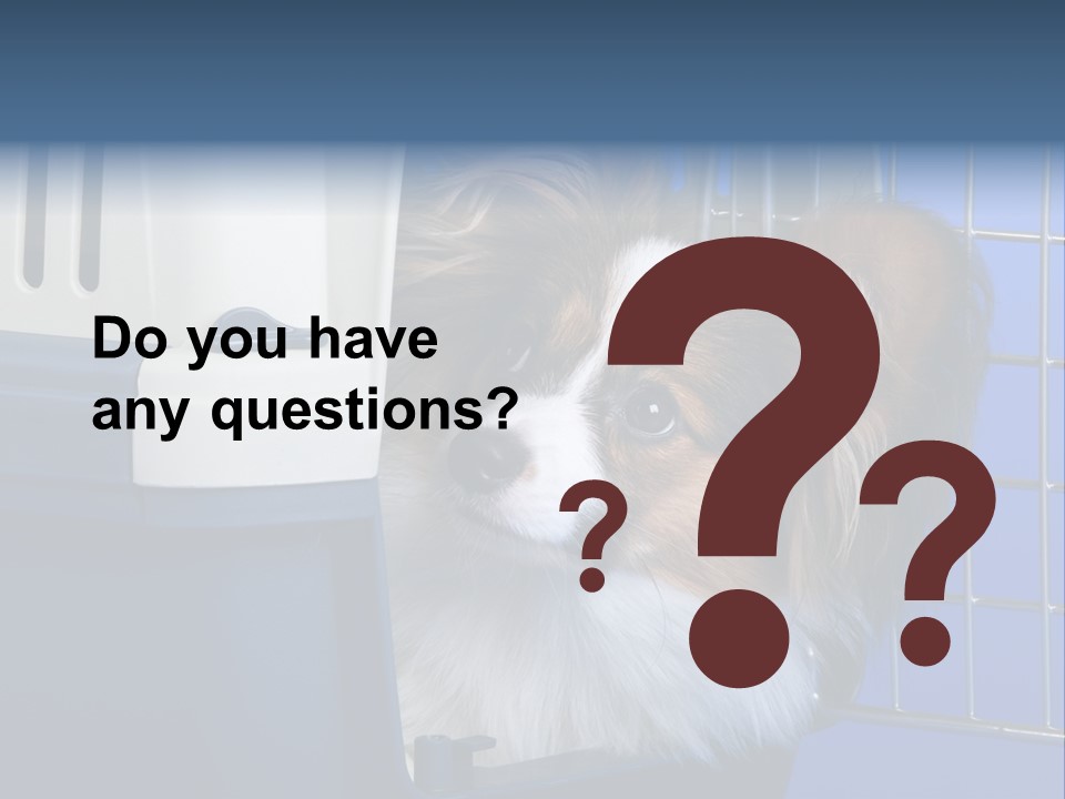 Young Dog Papillon And A Plastic Carrier PowerPoint Template