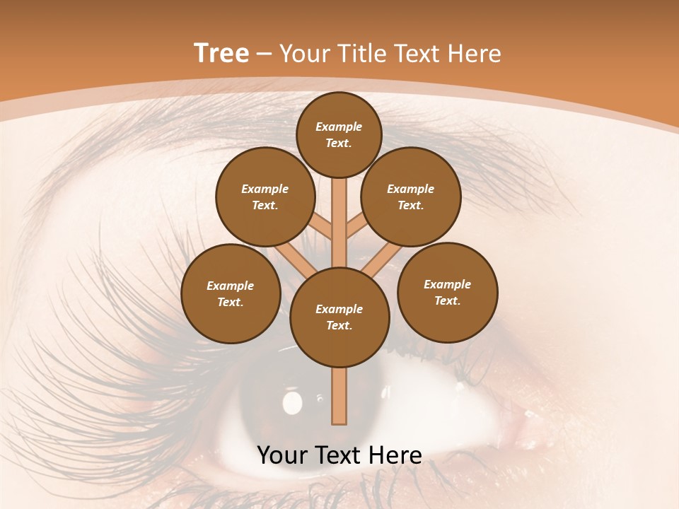 Woman Eye With Extremely Long Eyelashes PowerPoint Template