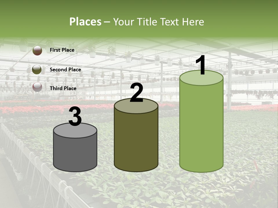 Flowers In Greenhouse PowerPoint Template