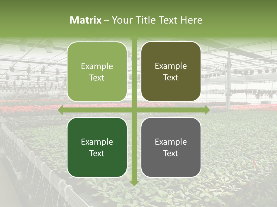 Flowers In Greenhouse PowerPoint Template