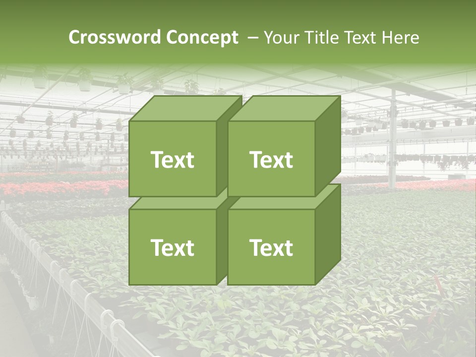 Flowers In Greenhouse PowerPoint Template