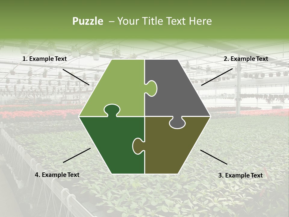 Flowers In Greenhouse PowerPoint Template