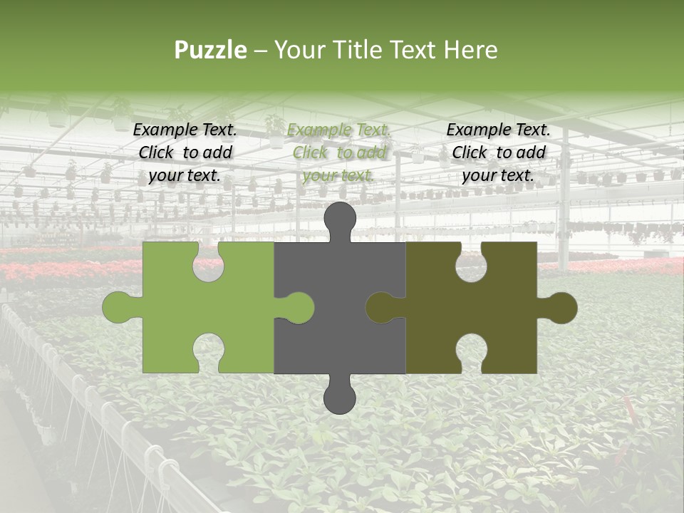 Flowers In Greenhouse PowerPoint Template