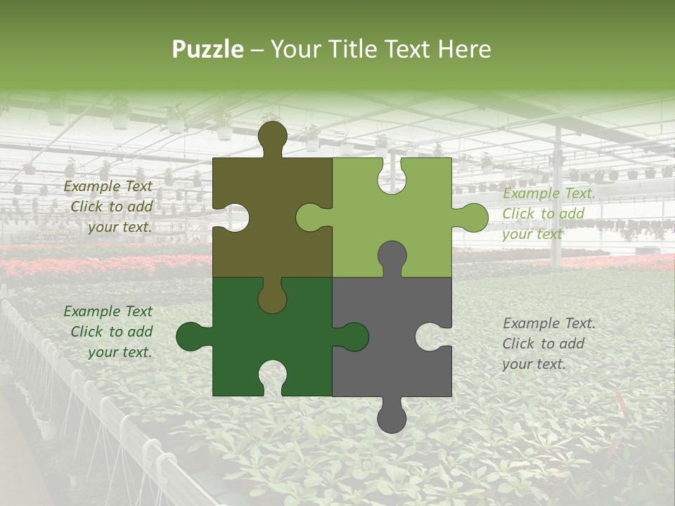 Flowers In Greenhouse PowerPoint Template