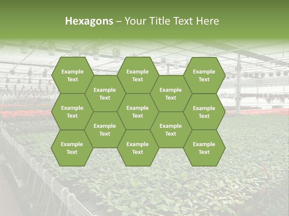 Flowers In Greenhouse PowerPoint Template