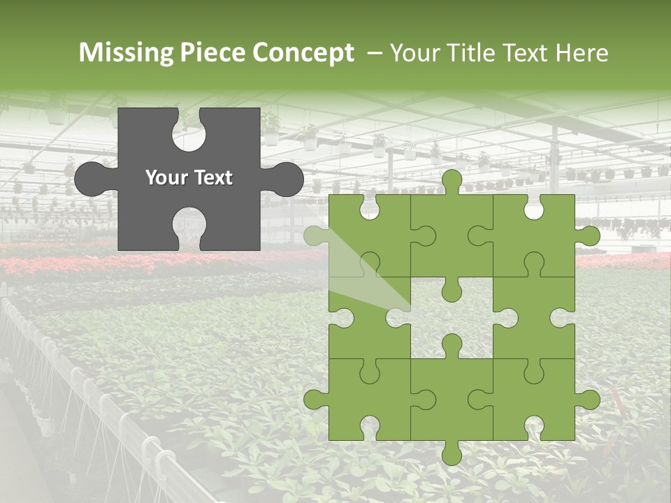 Flowers In Greenhouse PowerPoint Template