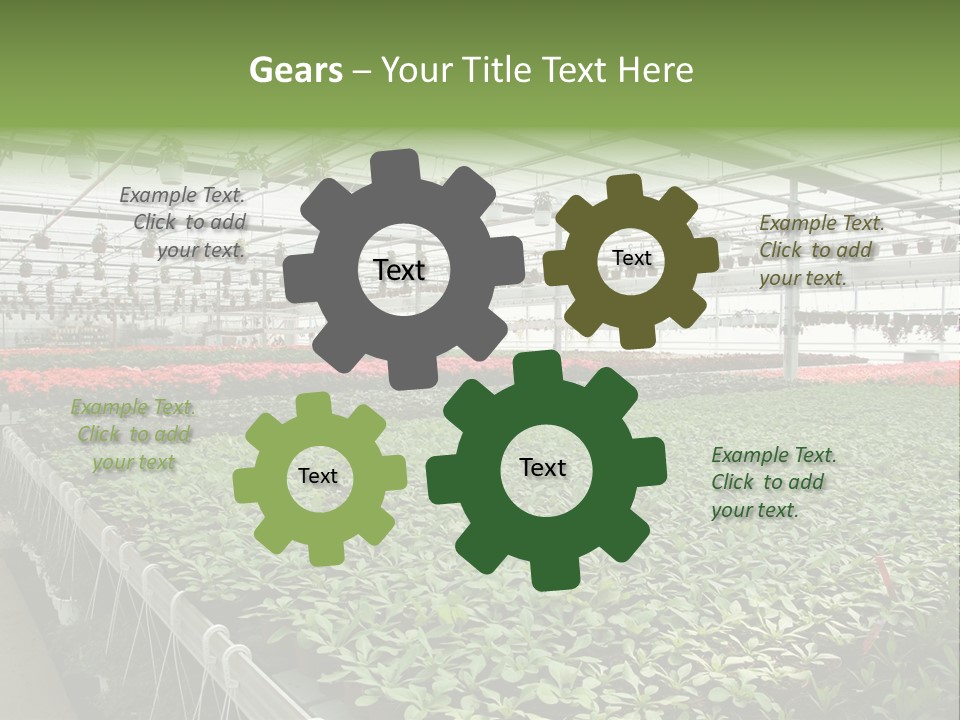 Flowers In Greenhouse PowerPoint Template