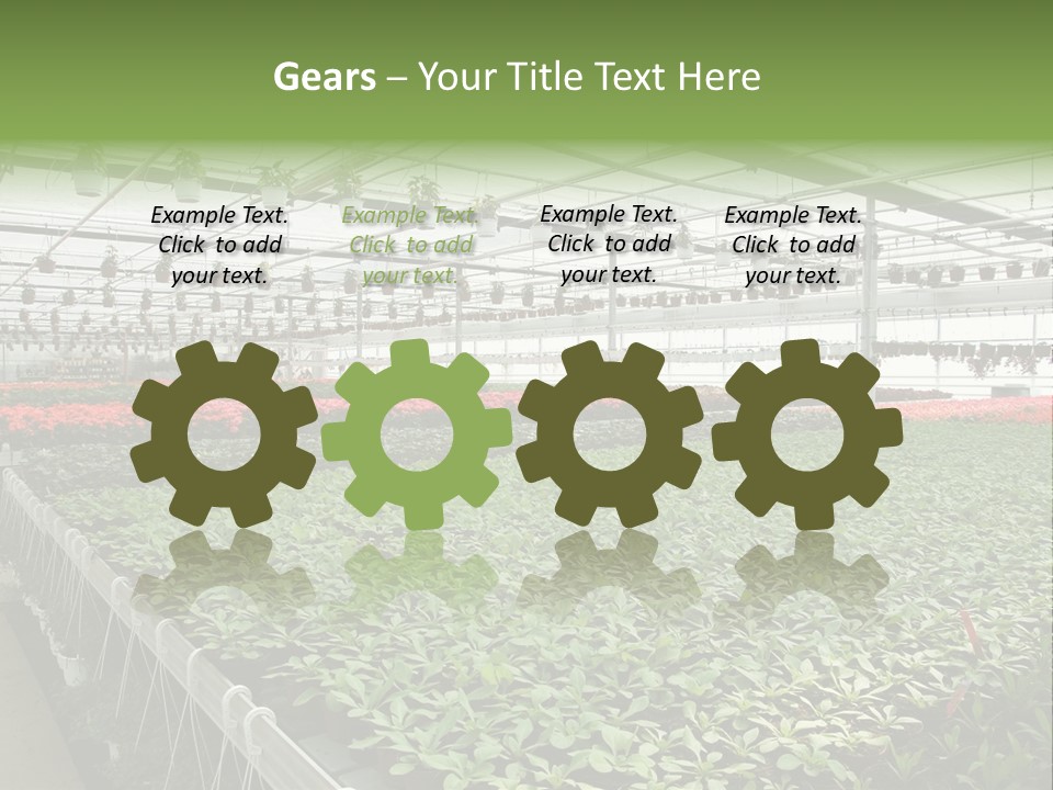 Flowers In Greenhouse PowerPoint Template