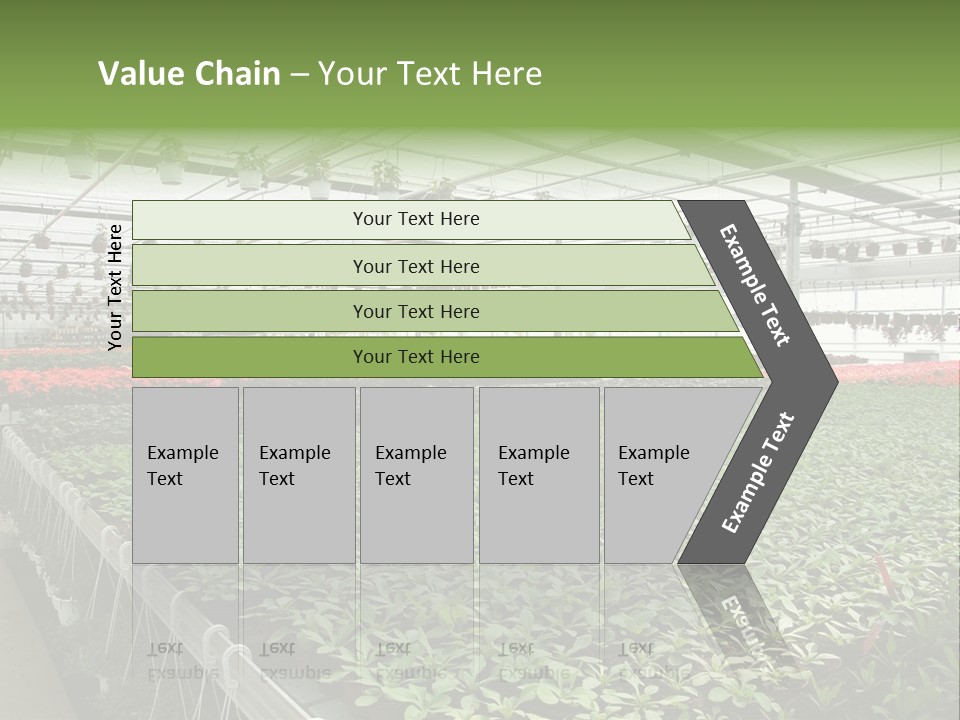 Flowers In Greenhouse PowerPoint Template