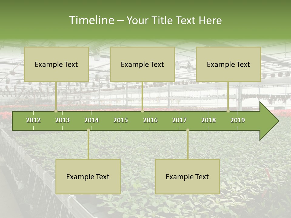 Flowers In Greenhouse PowerPoint Template