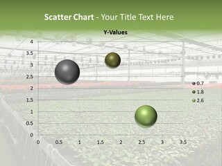 Flowers In Greenhouse PowerPoint Template