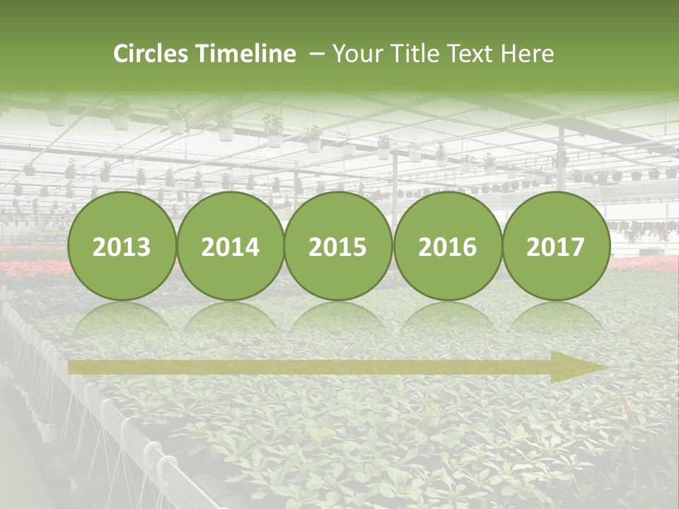 Flowers In Greenhouse PowerPoint Template