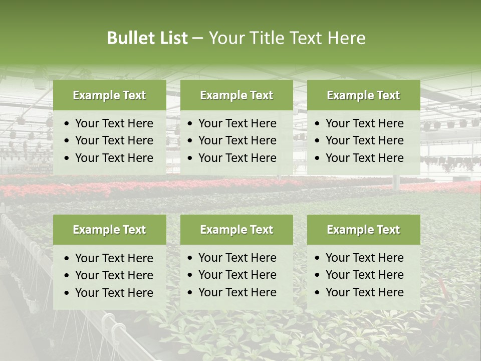 Flowers In Greenhouse PowerPoint Template
